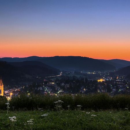 Drei Tannen - Wohnung 09 - Apartmenthaus, Titisee, Feldberg Zewnętrze zdjęcie