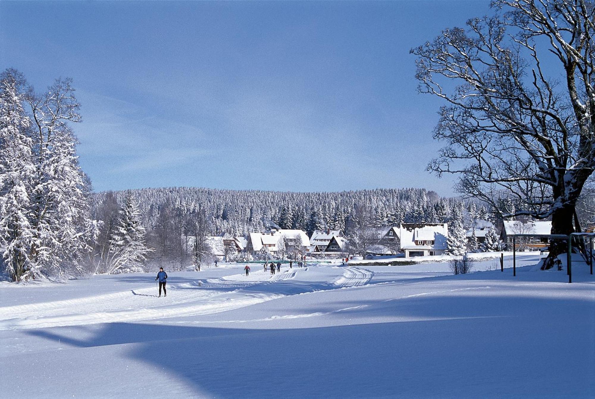 Drei Tannen - Wohnung 09 - Apartmenthaus, Titisee, Feldberg Zewnętrze zdjęcie