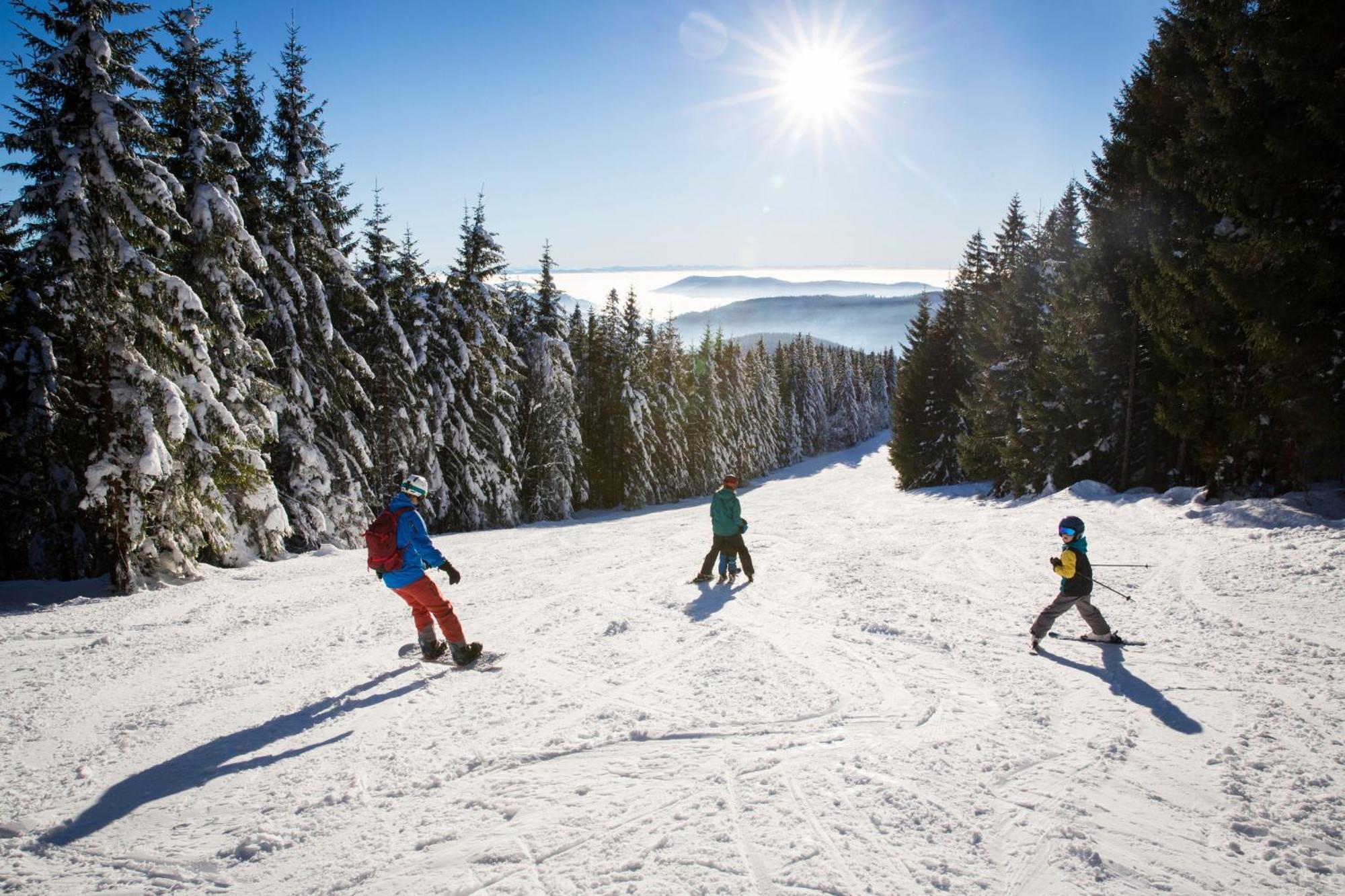 Drei Tannen - Wohnung 09 - Apartmenthaus, Titisee, Feldberg Zewnętrze zdjęcie