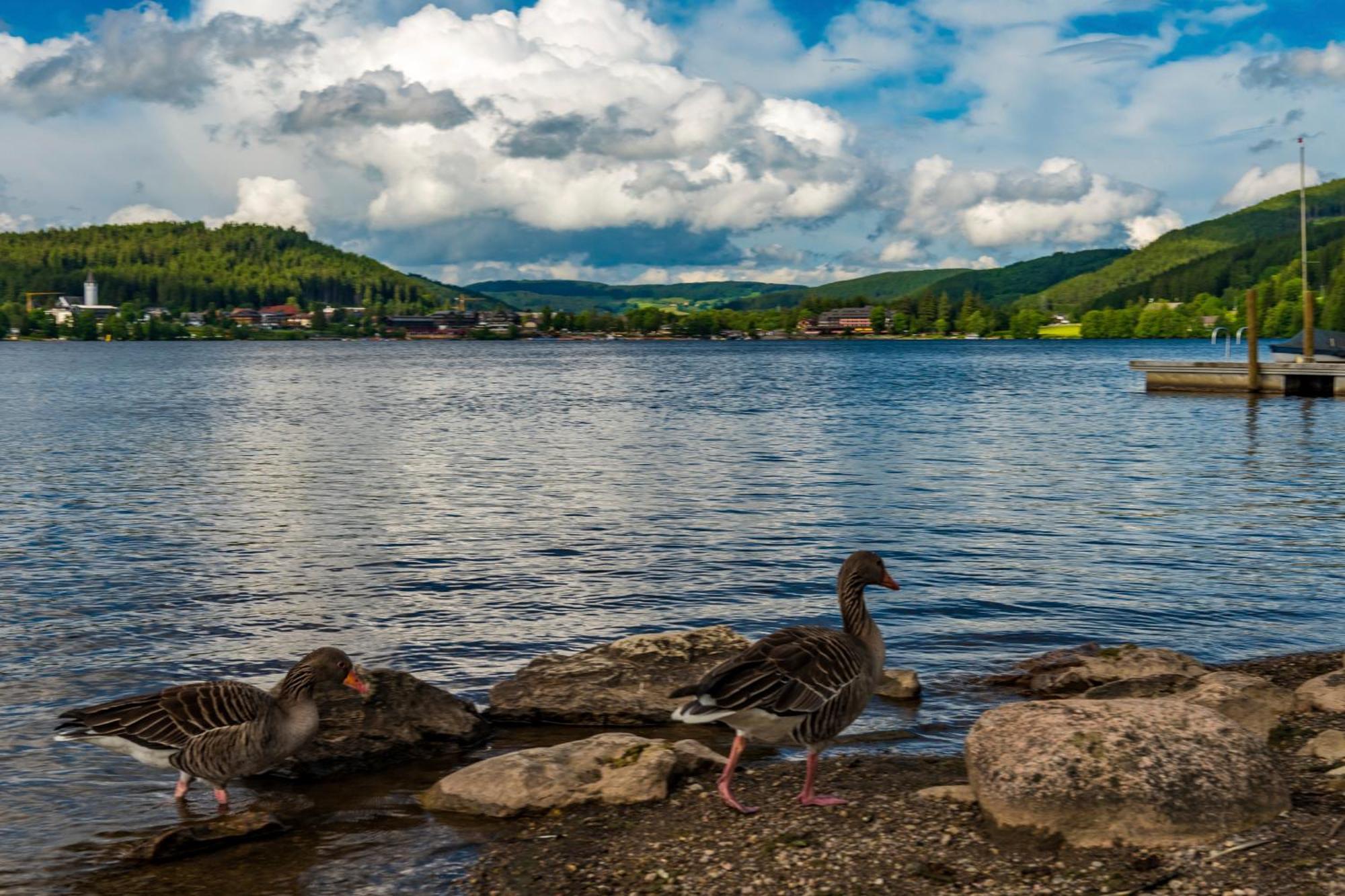 Drei Tannen - Wohnung 09 - Apartmenthaus, Titisee, Feldberg Zewnętrze zdjęcie